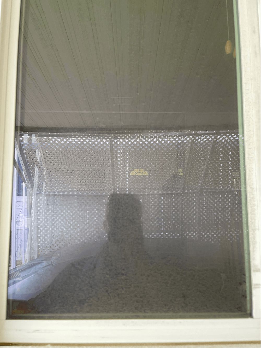 Reflection in a window showing a blurred figure and a patterned outdoor screen.