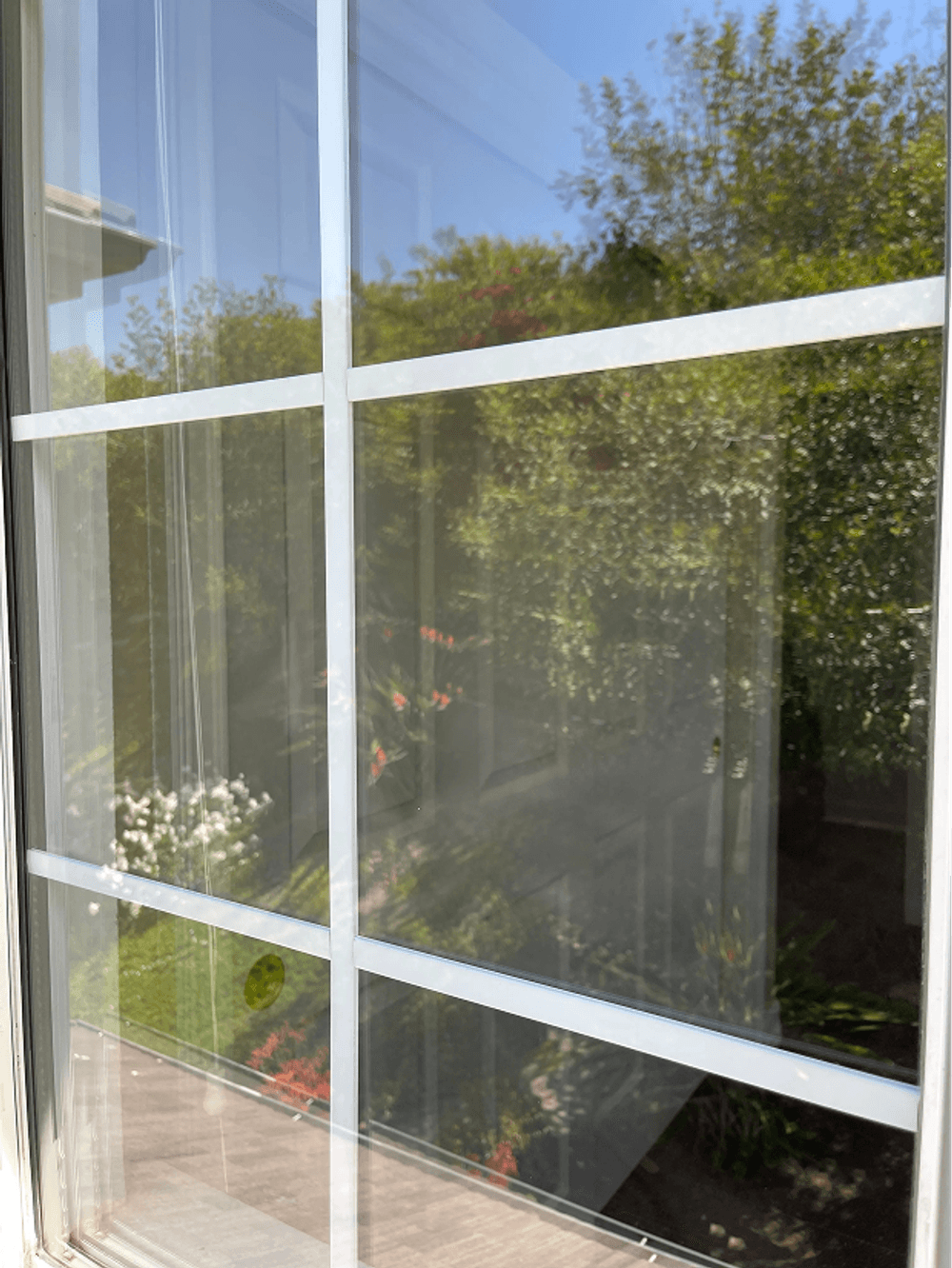 Clear window with grid pattern reflecting a lush garden view and bright blue sky.