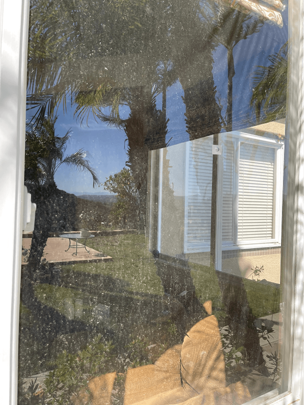 View of palm trees and outdoor area reflected in a dirty window with sunlight shining through.
