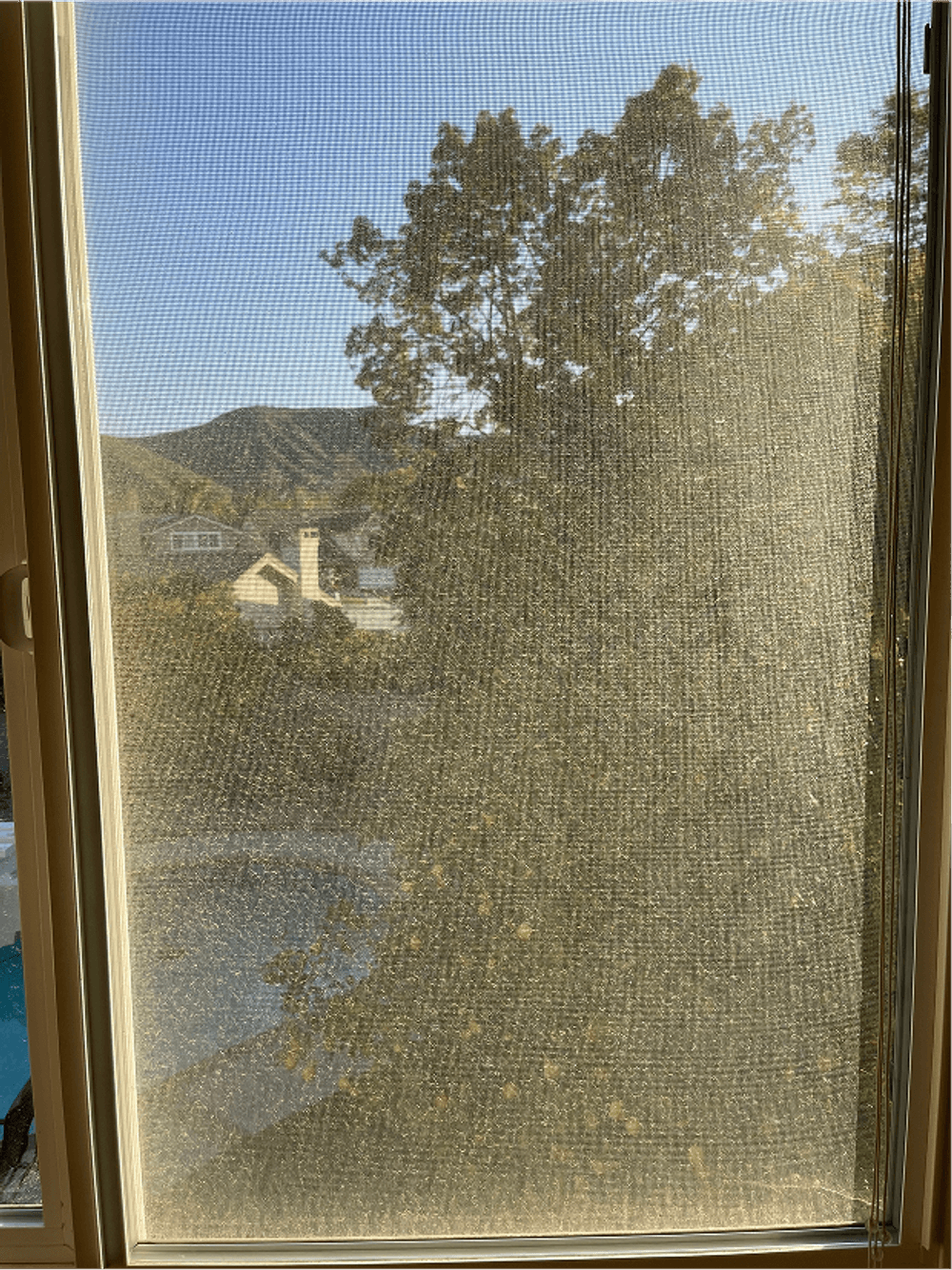 View through a window screen showing trees and distant hills under clear sky.
