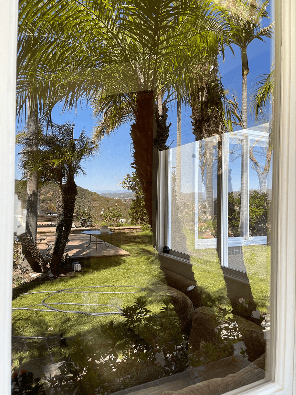 Palm trees and scenic garden view reflected in a window, showcasing outdoor tranquility.