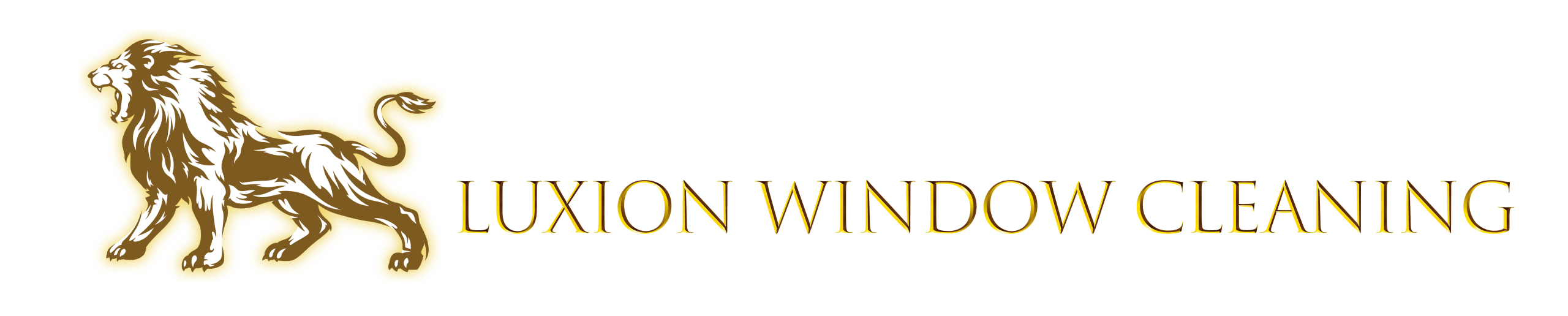 Luxion Window Cleaning